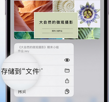 龙华山办事处apple维修中心分享iPhone文件应用中存储和找到下载文件