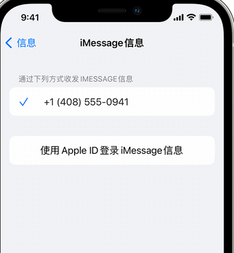 龙华山办事处apple维修iPhone上无法正常发送iMessage信息 