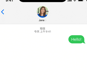 龙华山办事处apple维修iPhone上无法正常发送iMessage信息