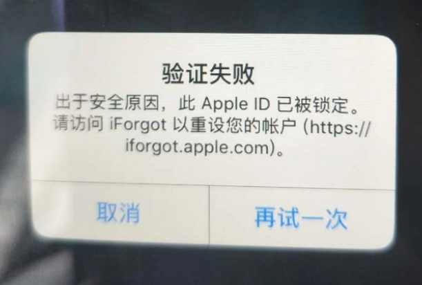 龙华山办事处iPhone维修分享iPhone上正常登录或使用AppleID怎么办 