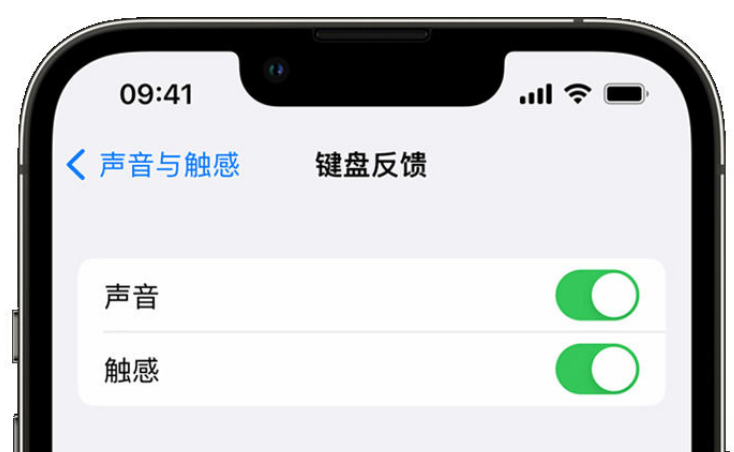 龙华山办事处苹果手机维修分享iPhone 14触感键盘使用方法 