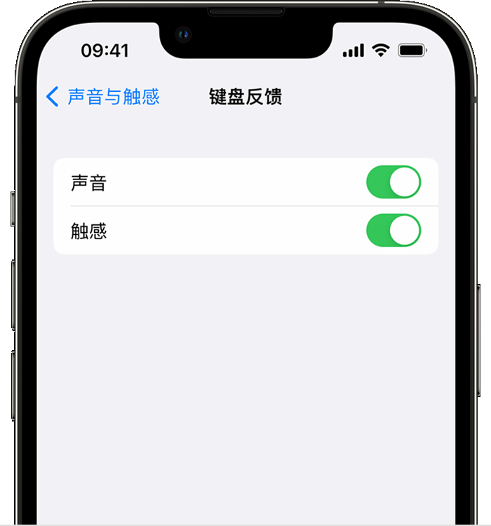 龙华山办事处苹果14维修店分享如何在 iPhone 14 机型中使用触感键盘 