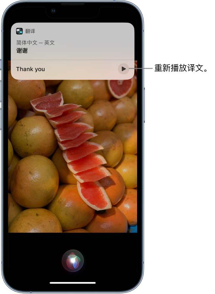 龙华山办事处苹果14维修分享 iPhone 14 机型中使用 Siri：了解 Siri 能帮你做什么 