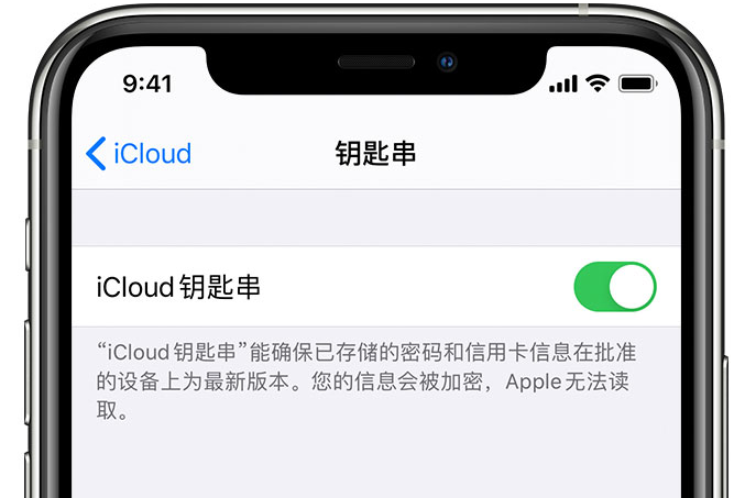 龙华山办事处苹果手机维修分享在 iPhone 上开启 iCloud 钥匙串之后会储存哪些信息 