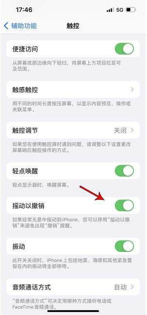 龙华山办事处苹果手机维修分享iPhone手机如何设置摇一摇删除文字 