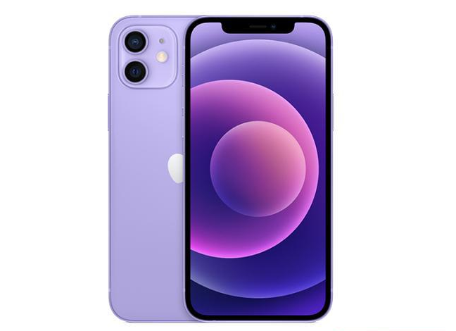 龙华山办事处苹果手机维修分享现阶段要不要入手紫色版iPhone12 